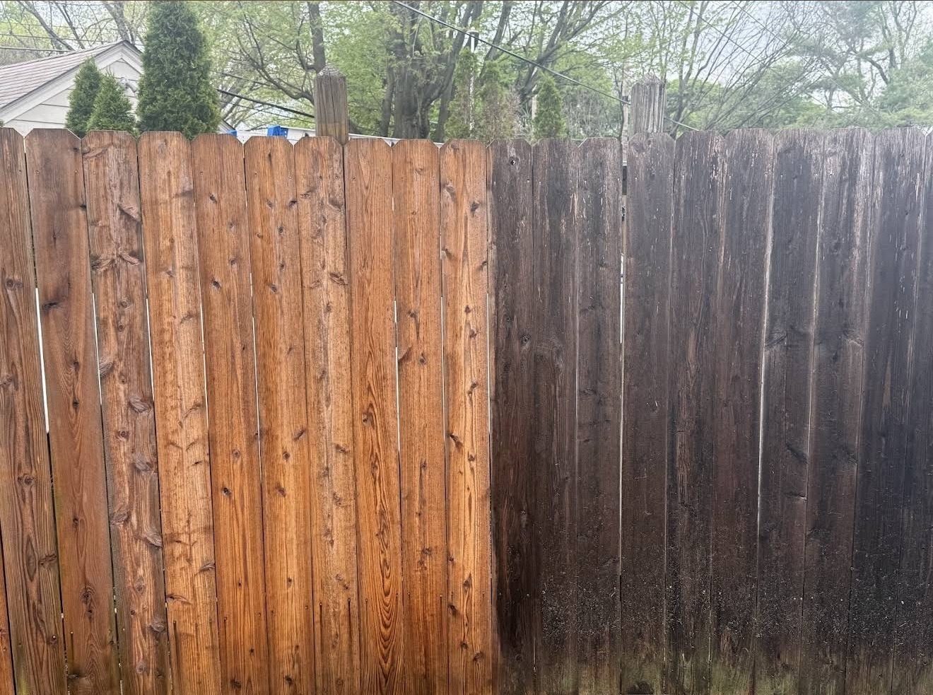 Wood fence half washed, showing clean golden boards beside untreated algae-stained boards