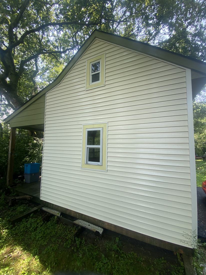 Algae-covered gable wall after washing by Mullet Power Wash