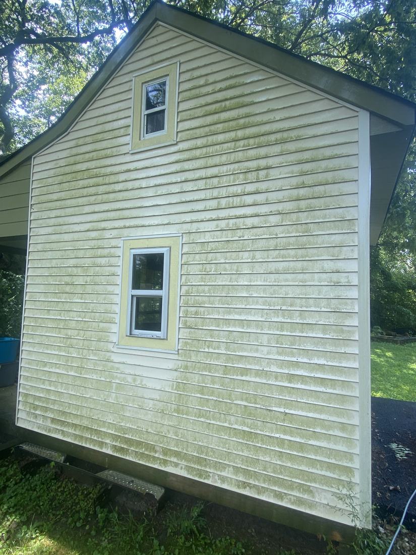 Algae-covered gable wall before washing