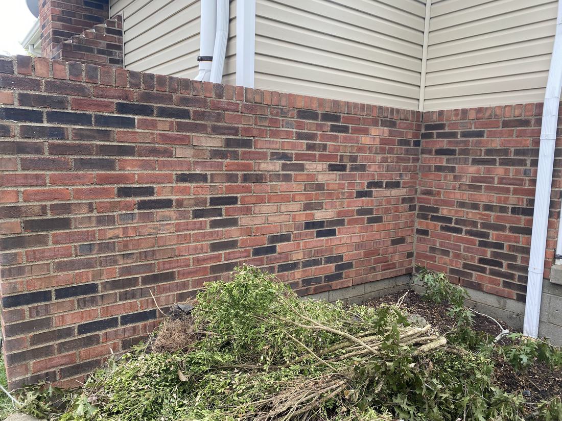 Brick garden wall after washing by Mullet Power Wash