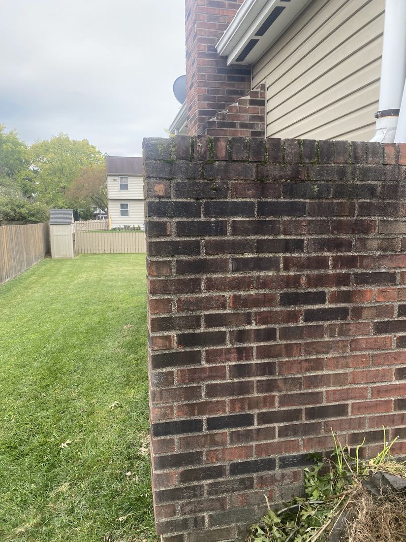 Brick garden wall before washing