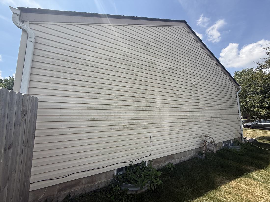 Side wall along the fence line before washing