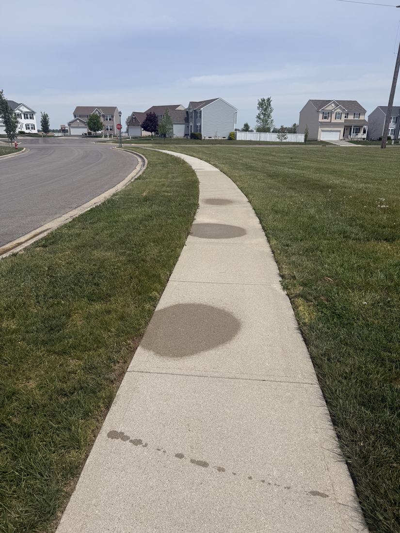 Sidewalk, caught mid-wash after washing by Mullet Power Wash